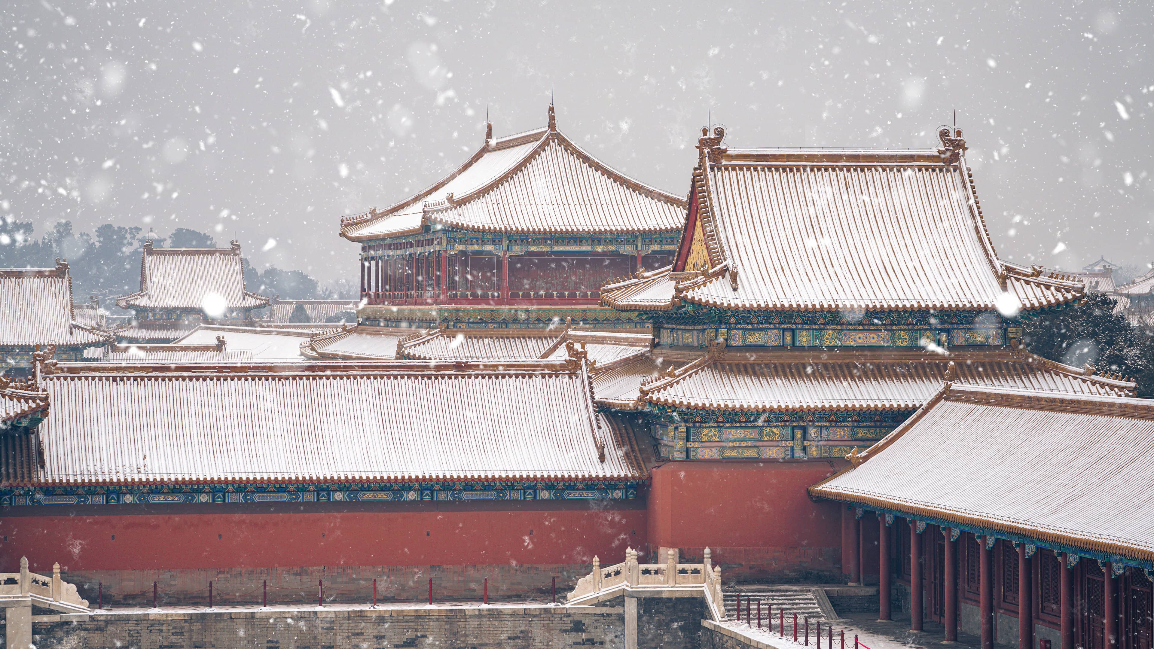 刀马刀马 的封面